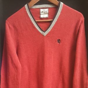 Express Mens V-Neck Sweater